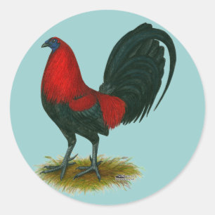 Amerikanischer Gamecock:  Braunrot Runder Aufkleber