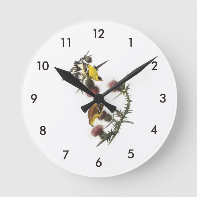 Amerikanischer Goldfinch durch Audubon Runde Wanduhr (Vorderseite)
