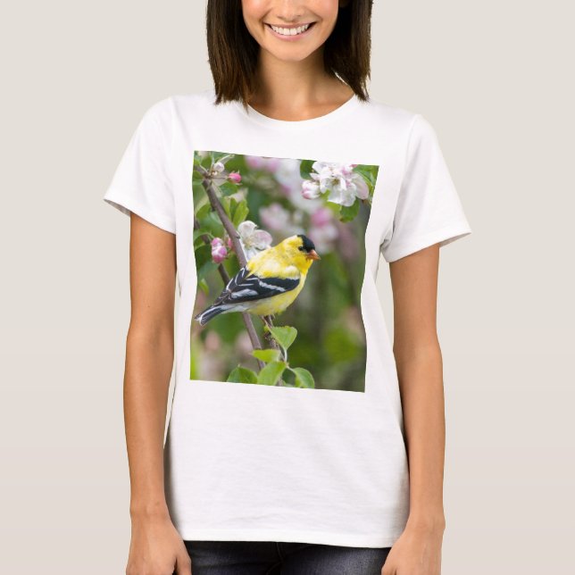 Amerikanischer Goldfinch mit Frühlingsapfelblüten T-Shirt (Vorderseite)