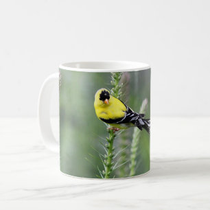 Amerikanischer Goldfinch Tasse