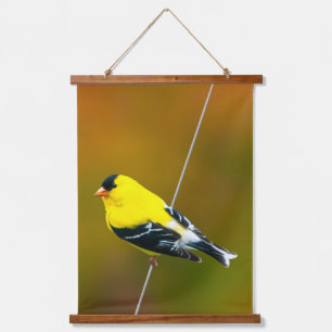 Amerikanischer Goldfink - Originalfotografie Wandteppich Mit Holzrahmen