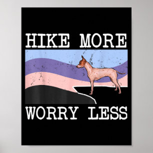Amerikanischer haarloser Terrier wandert mehr, sor Poster