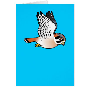 Amerikanischer Kestrel im Flug