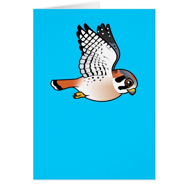 Amerikanischer Kestrel im Flug (Vorne)