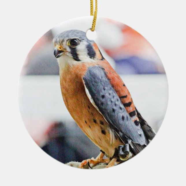 Amerikanischer Kestrel Keramik Ornament (Vorne)