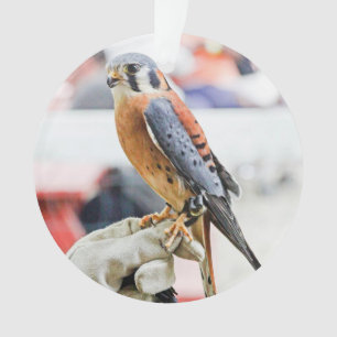 Amerikanischer Kestrel Ornament