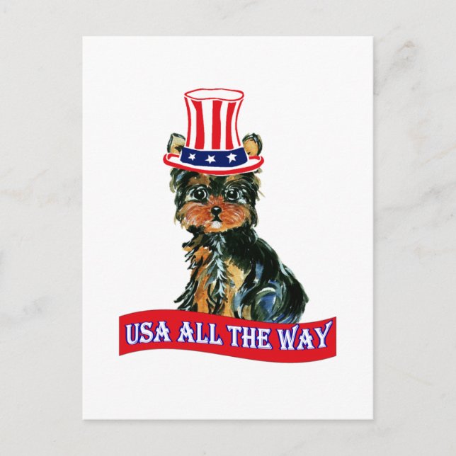 Amerikanischer Kot Postkarte (Vorderseite)