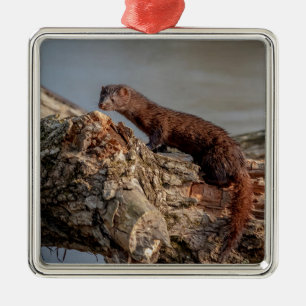Amerikanischer Nerz Silbernes Ornament