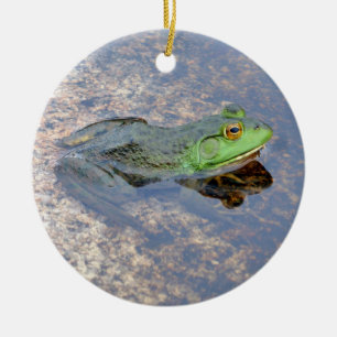 Amerikanischer Ochsenfrosch in Acadia Keramik Ornament
