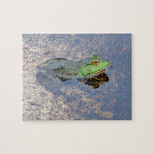 Amerikanischer Ochsenfrosch in Acadia Puzzle