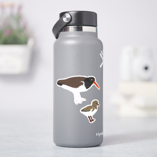 Amerikanischer Oystercatcher mit Küken Aufkleber (HydroFlask)