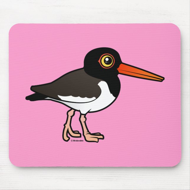 Amerikanischer Oystercatcher Mousepad (Vorne)