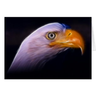 Amerikanischer patriotischer Weißkopfseeadler,