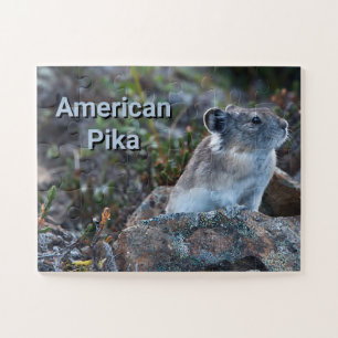 Amerikanischer Pika versteckt in Felsen Puzzle
