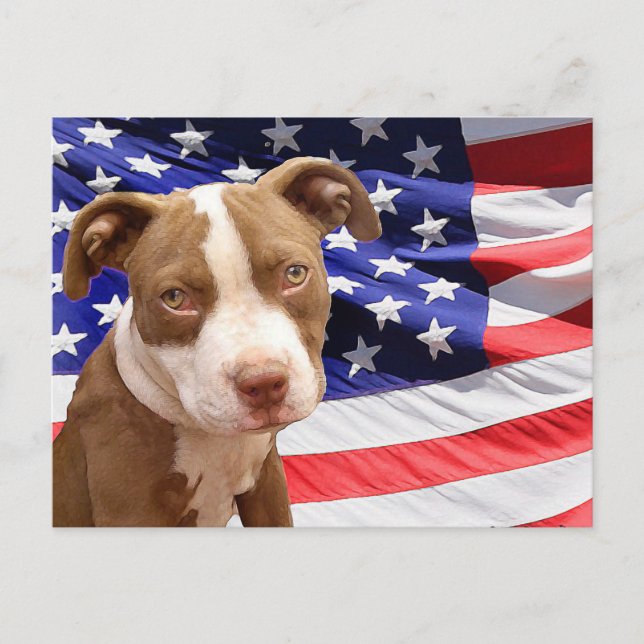 Amerikanischer Pitbuler Welpe Postkarte (Vorderseite)