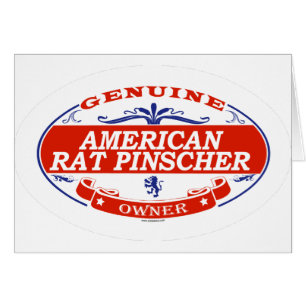 Amerikanischer RattePinscher