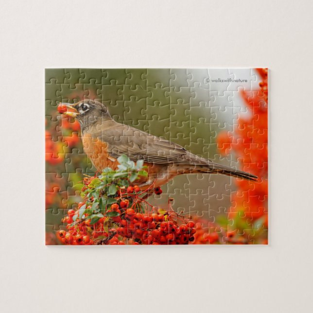 Amerikanischer Robin mit Pyracantha Pomme Puzzle (Horizontal)
