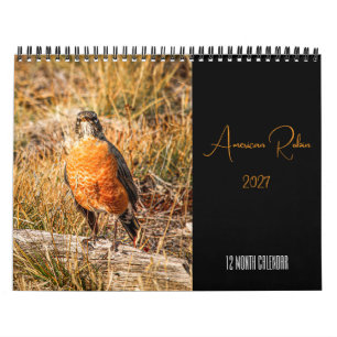 Amerikanischer Rotdrossel-Kalender 2027 Kalender