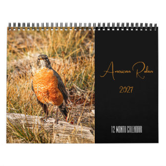 Amerikanischer Rotdrossel-Kalender 2027 Kalender