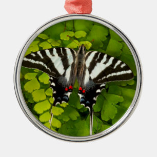 Amerikanischer Schwalbenschwanz Schmetterling Ornament Aus Metall