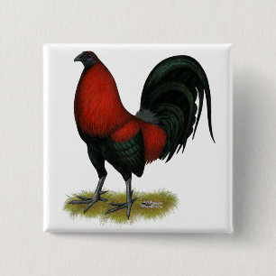 Amerikanischer Spielhahn Schwarz Rot Button