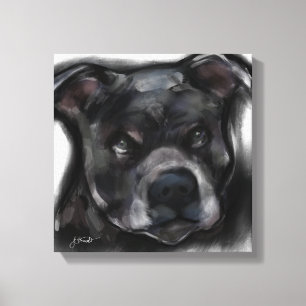 Amerikanischer Staffordshire Terrier Leinwanddruck
