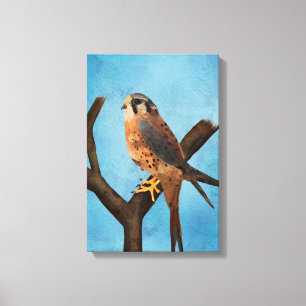 Amerikanischer Turmfalke Aquarell Vogel Kunst Leinwanddruck