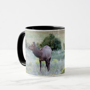 Amerikanischer Wapiti Colorado Tasse