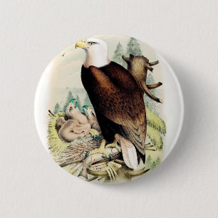 Amerikanischer Weißkopfseeadler Button