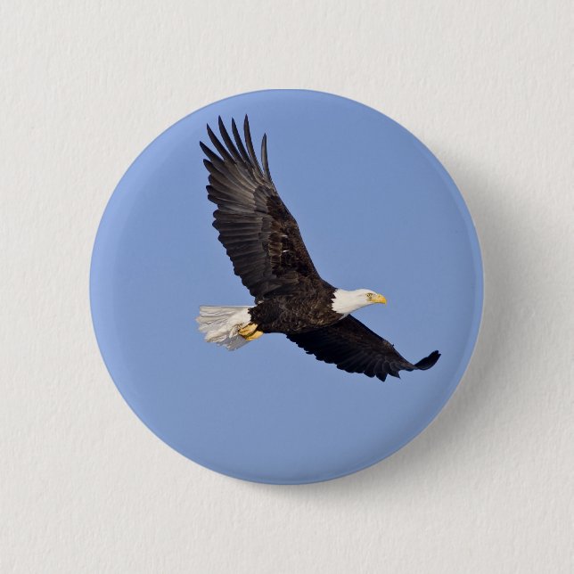 Amerikanischer Weißkopfseeadler Button (Vorderseite)