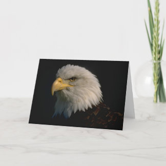 Amerikanischer Weißkopfseeadler Karte