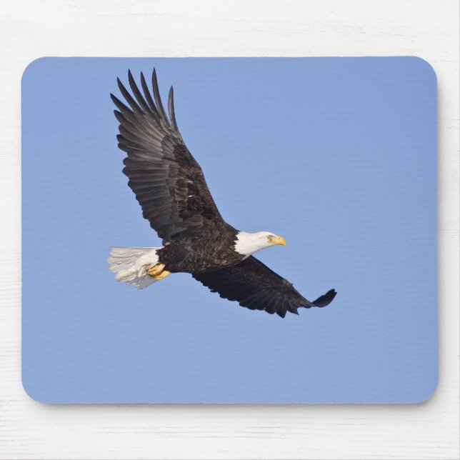Amerikanischer Weißkopfseeadler Mousepad (Vorne)