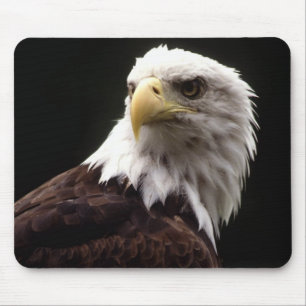 Amerikanischer Weißkopfseeadler Mousepad