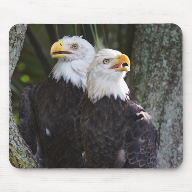Amerikanischer Weißkopfseeadler Mousepad (Vorne)