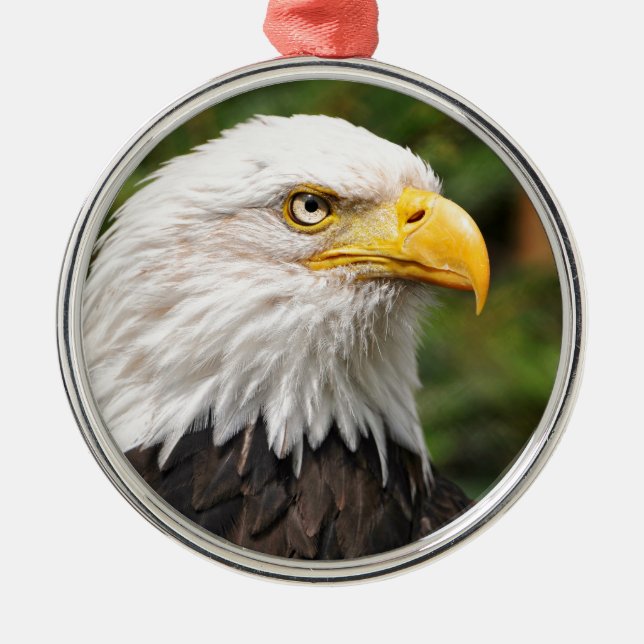 Amerikanischer Weißkopfseeadler Ornament Aus Metall (Vorne)