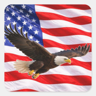 Amerikanischer Weißkopfseeadler Patriotischer Quad Quadratischer Aufkleber