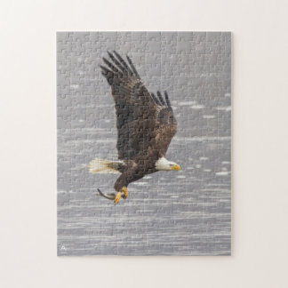 Amerikanischer Weißkopfseeadler Puzzle