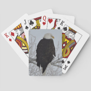 Amerikanischer Weißkopfseeadler-Spielkarten Spielkarten