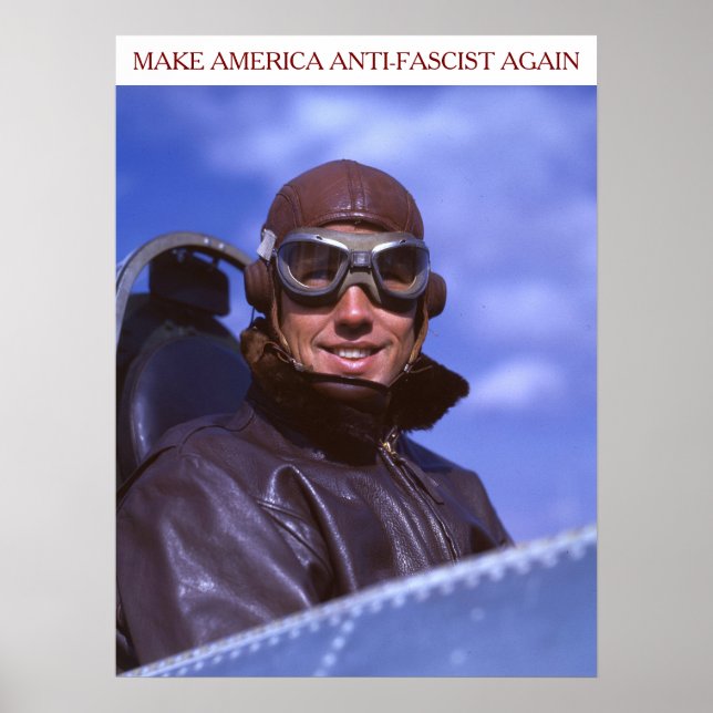 Amerikanischer WWII-Pilot MAAFA Poster (Vorne)