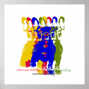 Amerikanisches Bulldoggenplakat Poster