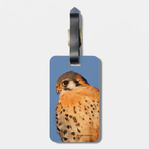 Amerikanisches Eichhörnchen auf einem Wirt Gepäckanhänger