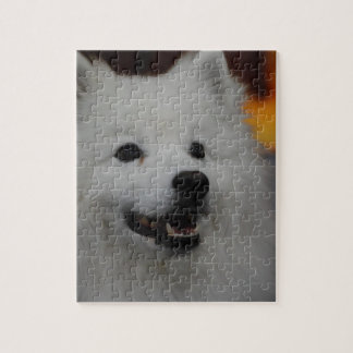 Amerikanisches Eskimohundepuzzlespiel Puzzle
