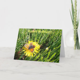 Amerikanisches Kupfer-Schmetterlings-"alles Gute Karte