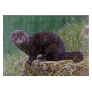 Amerikanisches Nerz-rechteckiges Schneidebrett