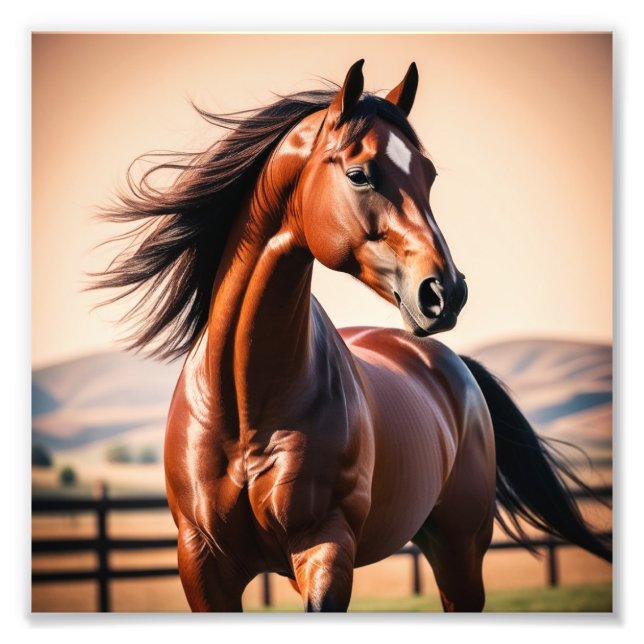 amerikanisches Pferd Fotodruck (Vorne)