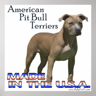 Amerikanisches Pitbull-Terrier- (APBT)Plakat Poster