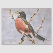 Amerikanisches Rotkehlchen-Vogel-Dekupage-Seidenpa