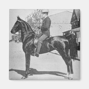 Amerikanisches Saddlebred-Pferd – Vintage-Show-Fot Magnet