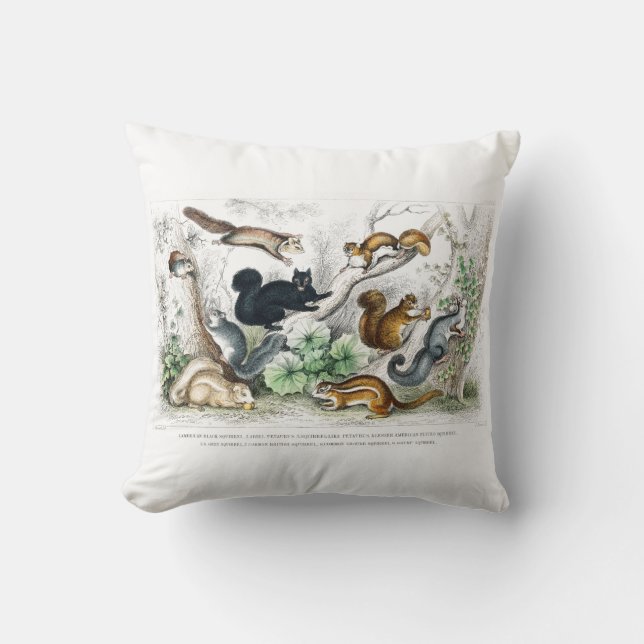 Amerikanisches Schwarzes Eichhörnchen, Ariel Petau Kissen (Vorderseite)