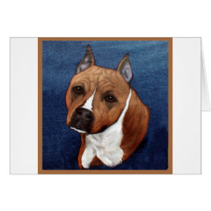 Amerikanisches Staffordshire Terrier